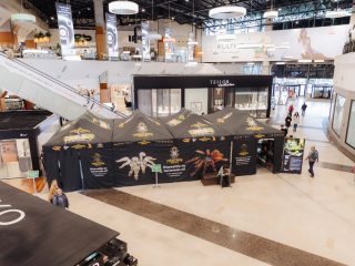 La Iulius Mall Cluj, expoziția educativă Taranterra te invită în lumea exotică a celor 70 de exemplare de reptile și tarantule vii