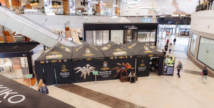 La Iulius Mall Cluj, expoziția educativă Taranterra te invită în lumea exotică a celor 70 de exemplare de reptile și tarantule vii