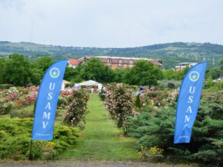 „Parfum de Cluj” la USAMV: cireșe și căpșune proaspete, răsaduri de flori și legume, arbuști și pomi fructiferi, produse în Stațiunea de Cercetare Horticolă