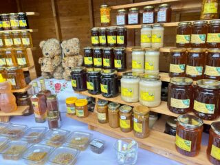 „Zestrea – Taine din palmă de ardelean” aduce tradiția în inima Clujului, în Piața Unirii