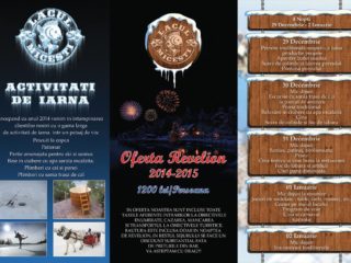 Revelion 2015 la Lacul Micesti