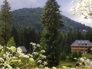 Poiana Horea – Peștera Scărișoara