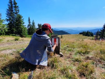 Noi trasee în Cheile Turenilor: circuitul versanților și traseul spre Cheile Turzii