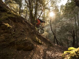 Bicicletă MTB clasică sau electrică? Ce variantă este mai potrivită pentru trasee montane?