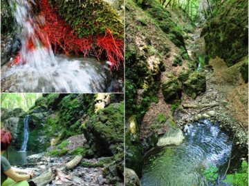 Cheile Borzești | Un loc de poveste la doi pași de Cluj