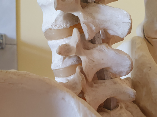 Coloana vertebrală: de la probleme frecvente la soluții avansate de tratament