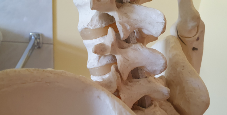 Coloana vertebrală: de la probleme frecvente la soluții avansate de tratament