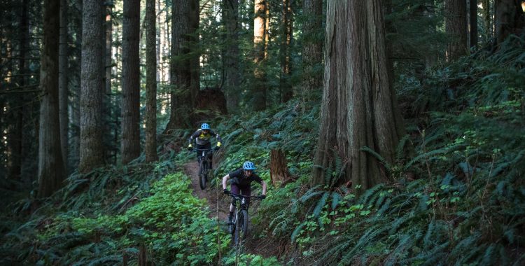 Cum te pregătești pentru o tură de MTB prin pădure
