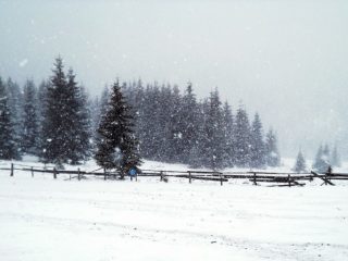 Revelion 2015 la Pensiunea Popasul Iancului