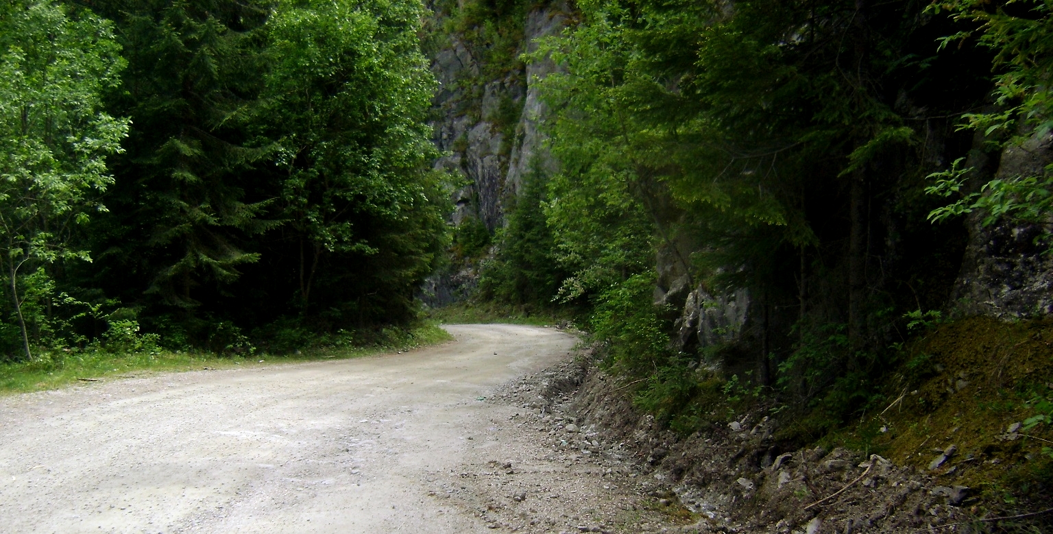 vremea