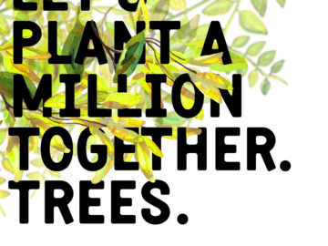 Electric Castle își provoacă fanii la o plantare de milioane