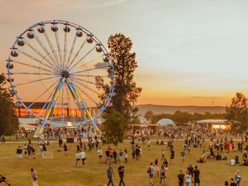 Promisiunea EC_Special: 10 zile de regăsire a muzicii live, într-un lineup eclectic