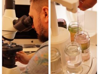 Artiști și cercetători din România și Republica Moldova transformă un laborator biomedical într-un spațiu de creație