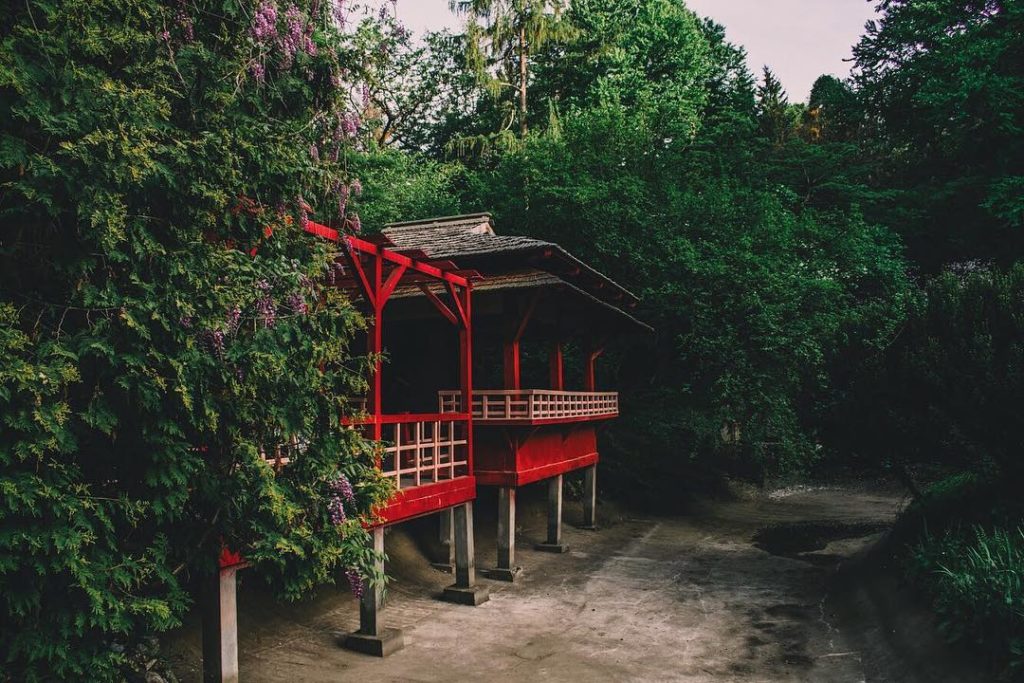 Grădina Botanică Cluj