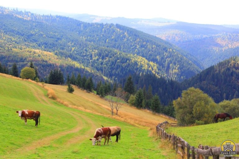 Comuna Maguri Racatau