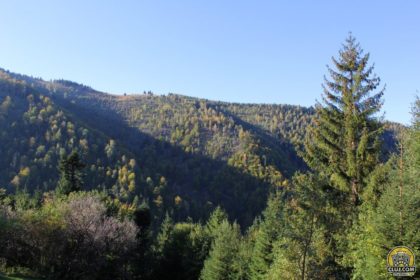 Comuna Maguri Racatau