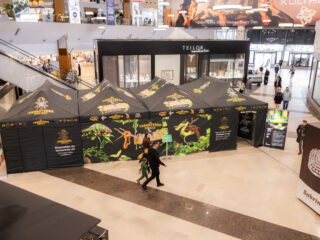 Competiție de șah pentru copii, atelier creativ de buchete de flori și expoziție de tarantule și reptile vii în acest weekend, la Iulius Mall Cluj