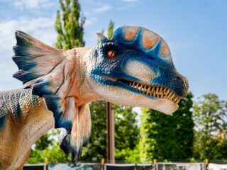 Călătorie în preistoric, la Iulius Mall Cluj. Vino să descoperi expoziția de dinozauri și plante carnivore!