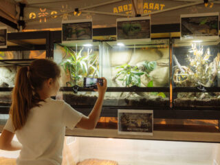 Expoziția educativă de tarantule și reptile vii revine la Iulius Mall Cluj cu exemplare spectaculoase