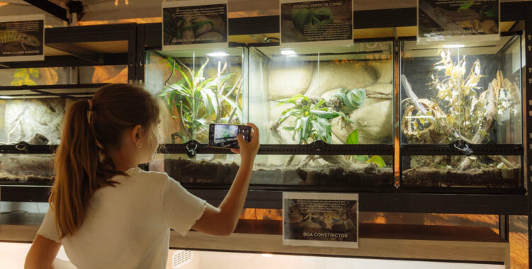 Expoziția educativă de tarantule și reptile vii revine la Iulius Mall Cluj cu exemplare spectaculoase