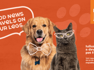 Experiențe pentru întreaga familie, inclusiv pentru căței și pisici. Iulius Mall Cluj a devenit pet friendly