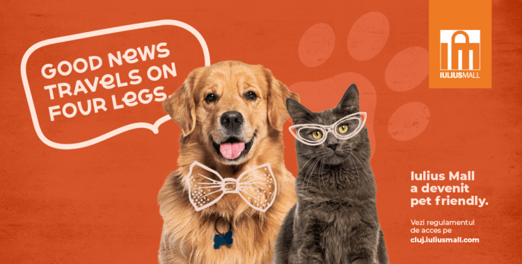 Experiențe pentru întreaga familie, inclusiv pentru căței și pisici. Iulius Mall Cluj a devenit pet friendly