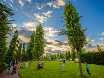 Poveștile #IuliusGardens în imagini: participă la un concurs de fotografie dedicat și câștigă un iPhone 12 Pro și un workshop cu Sorin Onișor