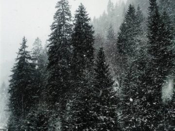 La pas prin Măguri Răcătău – Defileul Someșului Rece