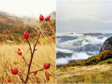 O zi prin Râmeț: „cum se face că într-o zi urâtă, lumea e frumoasă?”