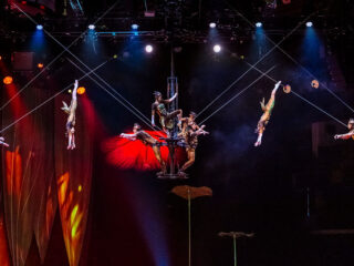 Magia Cirque du Soleil la Cluj: „OVO”, o producție spectaculoasă care transformă scena într-un univers viu