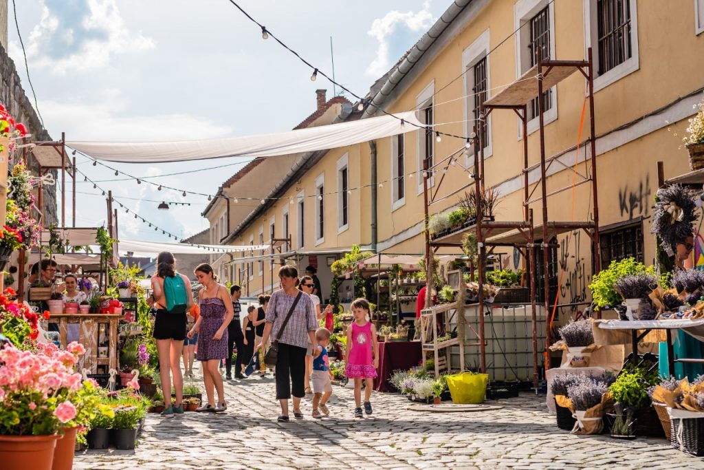 „Piața de flori altfel” se întoarce pe Strada Potaissa pentru ediția a