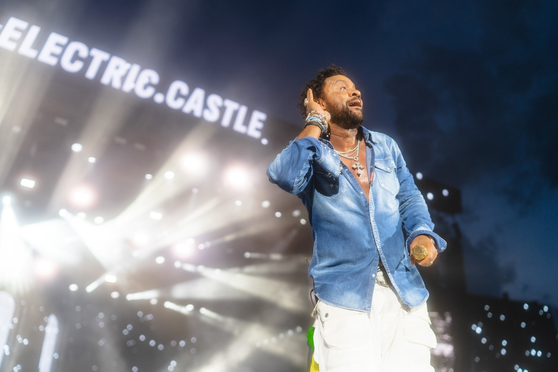Shaggy la Electric Castle 2025 - Andrei Popa
