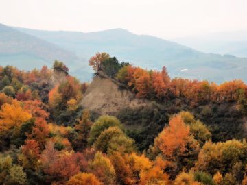 Stâncile Niculii, o pitorească alunecare de teren din județul Cluj
