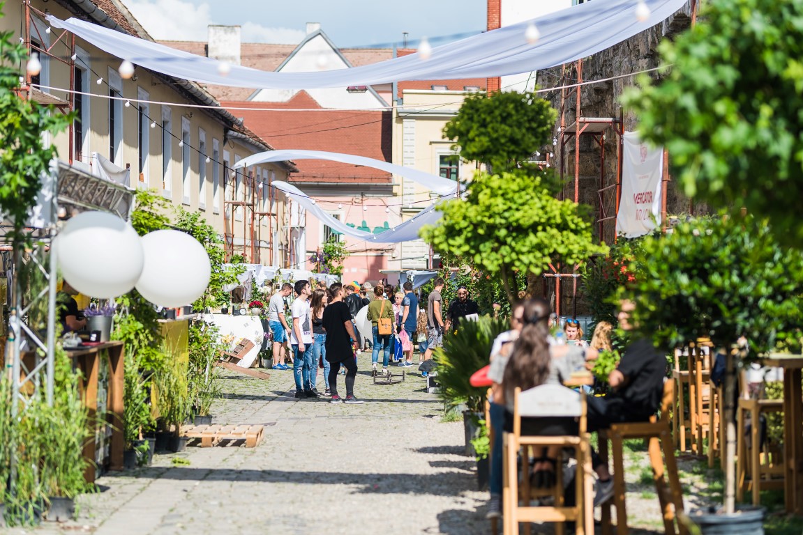 Strada Potaissa se transformă din nou în „Piața de flori altfel”