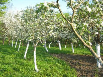 Unitate de măsură: azi
