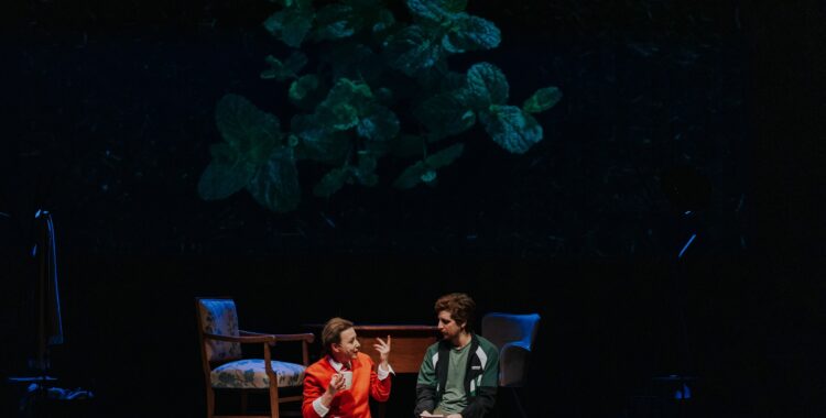 Premiera spectacolului „Vocea dinlăuntru” la Cluj-Napoca: sănătatea mintală, în prim-plan. Acces gratuit pentru public