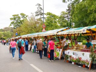 Zilele Recoltei, sărbătoarea toamnei la Cluj-Napoca, pe platoul Sălii Sporturilor „Horia Demian”