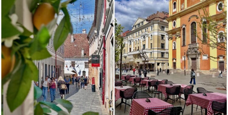 evenimente 11 - 17 mai 2026