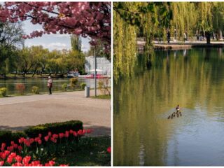 Agenda săptămânii în Cluj: evenimente 27 aprilie – 3 mai