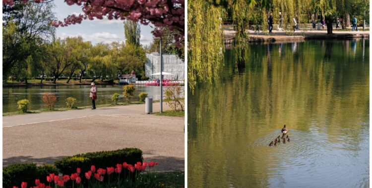 Agenda săptămânii în Cluj: evenimente 27 aprilie - 3 mai