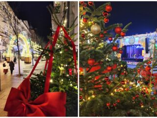 Agenda săptămânii în Cluj: evenimente 8 – 14 decembrie 2025