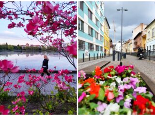 Agenda săptămânii în Cluj: evenimente 4 – 10 mai 2026