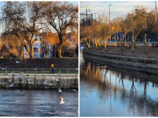 Agenda săptămânii în Cluj: evenimente 23 februarie – 1 martie 2026