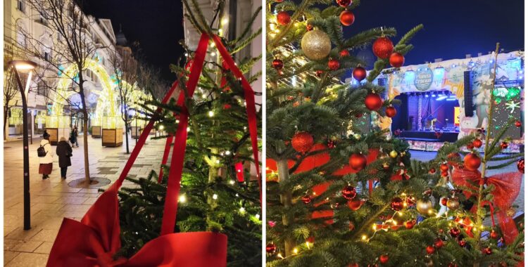 Agenda săptămânii în Cluj: evenimente 8 - 14 decembrie 2025