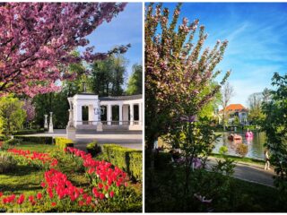 Program de weekend în Cluj: evenimente 1 – 3 mai 2026