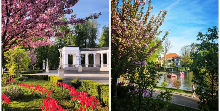 Program de weekend în Cluj: evenimente 1 - 3 mai 2026