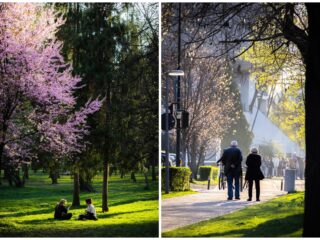 Program de weekend în Cluj: evenimente 10 – 12 aprilie 2026