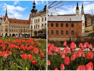 Program de weekend în Cluj: evenimente 17 – 19 aprilie 2026