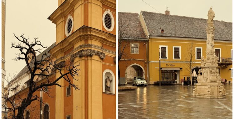 Program de weekend în Cluj: evenimente 13 - 15 februarie 2026