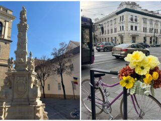 Program de weekend în Cluj: evenimente 6 – 8 martie 2026